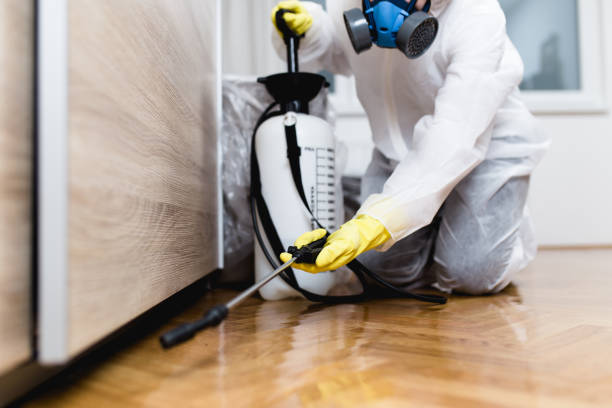 Best Affordable Pest Control Services  in Batesville, IN