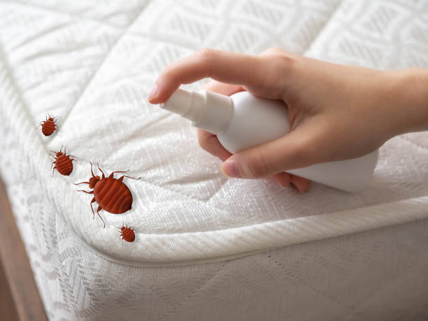 Best Best Pest Control Companies  in Batesville, IN